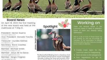 May Newsletter